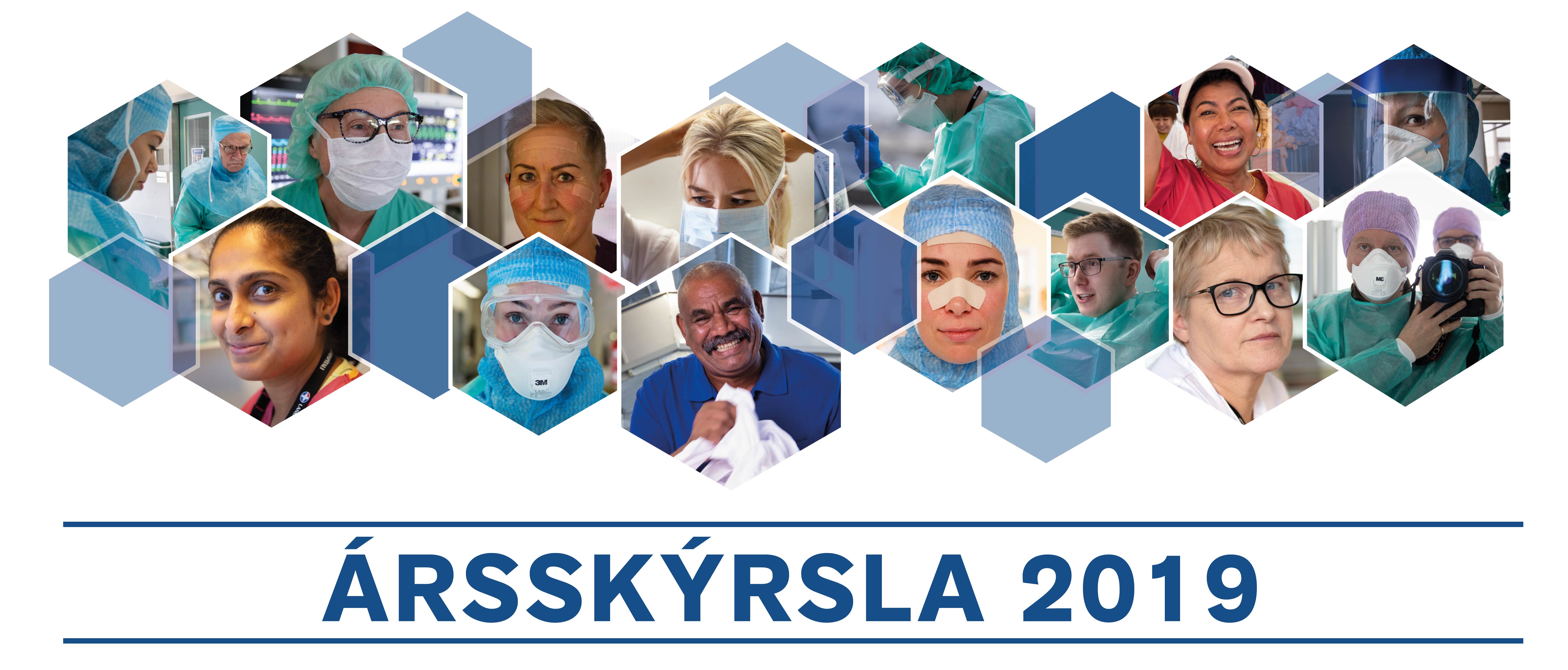 Arsskyrsla2019_banner-02.jpg (932964 bytes)